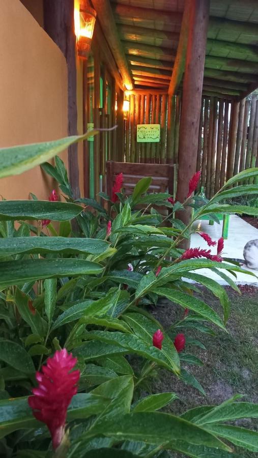 Casa Paula Villa Barra Grande  Eksteriør bilde